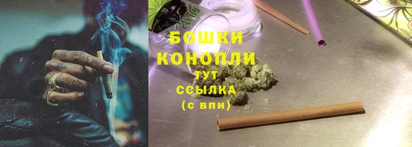 Альфа ПВП Гусь-Хрустальный