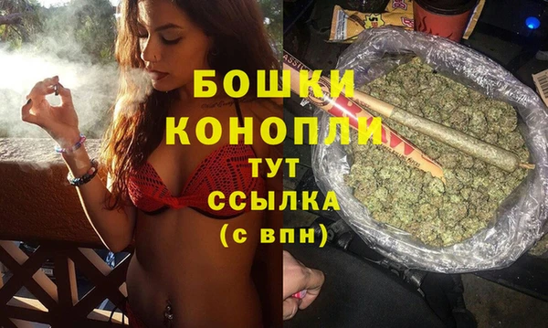 Альфа ПВП Гусь-Хрустальный