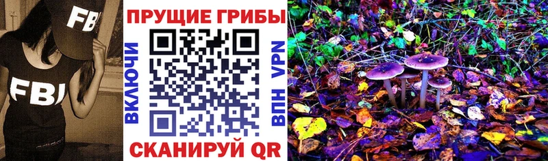 что такое наркотик  Жиздра  Псилоцибиновые грибы мухоморы 